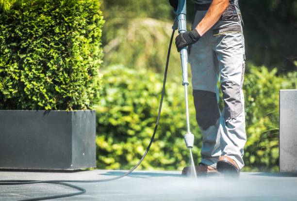 Best Factory Floor Cleaning  in Hornell, NY